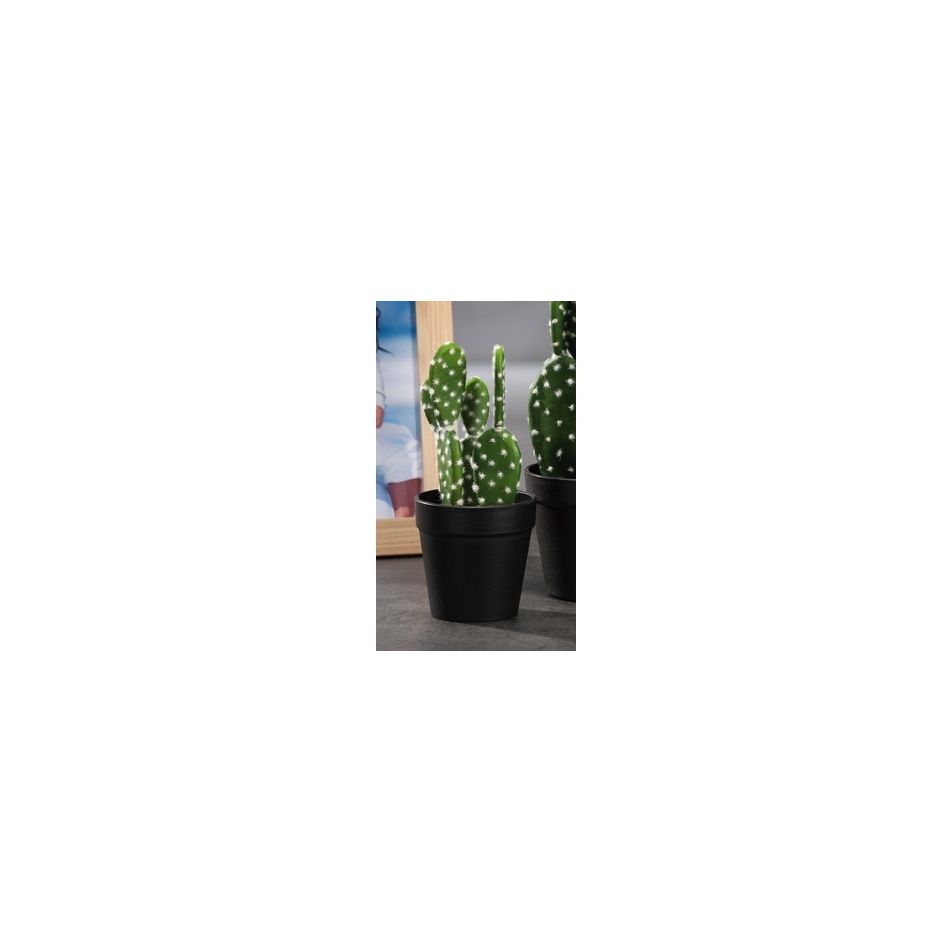 vaso-c-slash-cactus-x-decoraz-diam95xh20