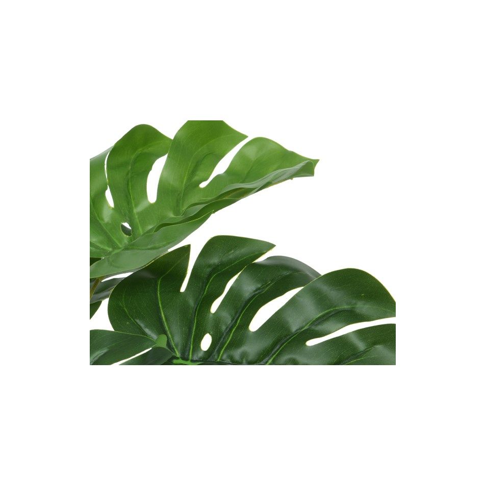 vaso-con-monstera-d-dot-25xh25cm