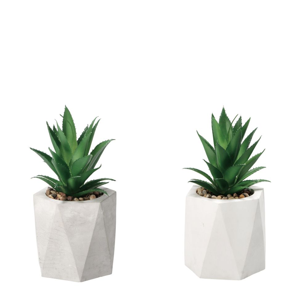 vaso-con-pianta-grassa-decorativa-d-dot-9xh19cm-in-2-c
