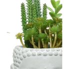 vaso-bhudda-grigio-con-pianta-grassa-d-dot-14xh23cm