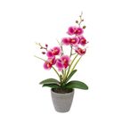 vaso-con-orchidea-a-7-fiori-d-dot-10xh38cm-in-4-colori