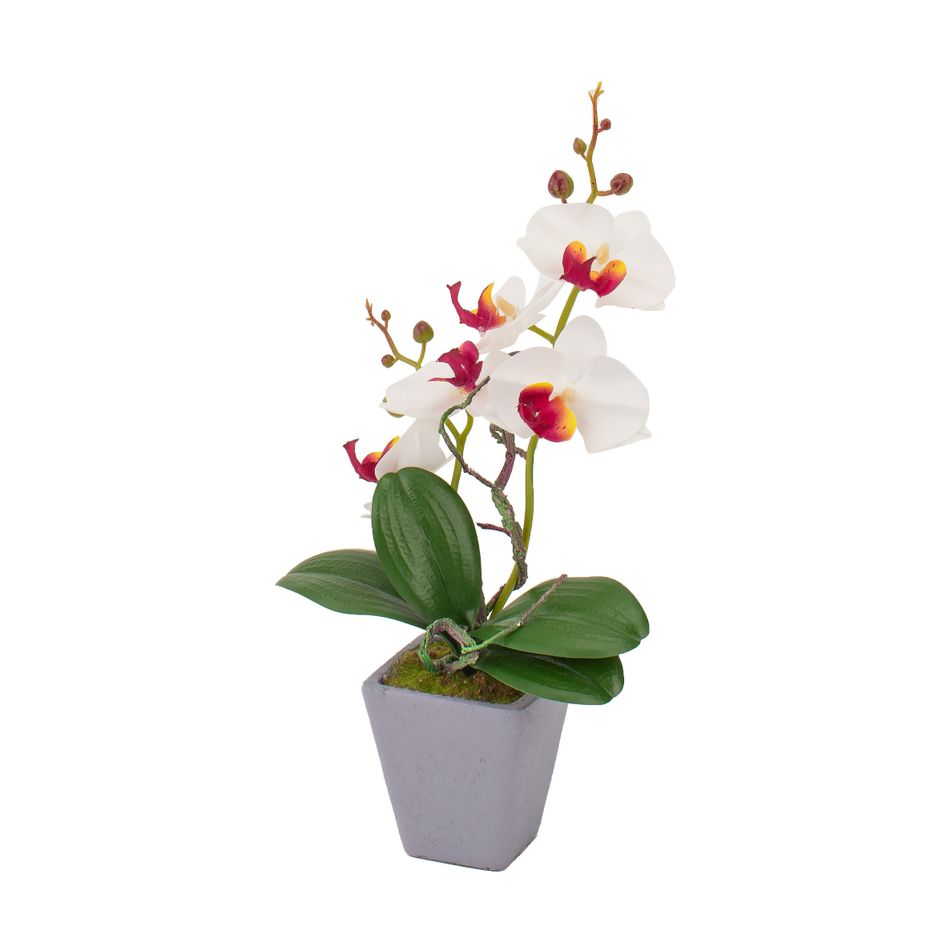 vaso-con-orchidea-d-dot-8xh34cm-in-4-colori-con-5-fior