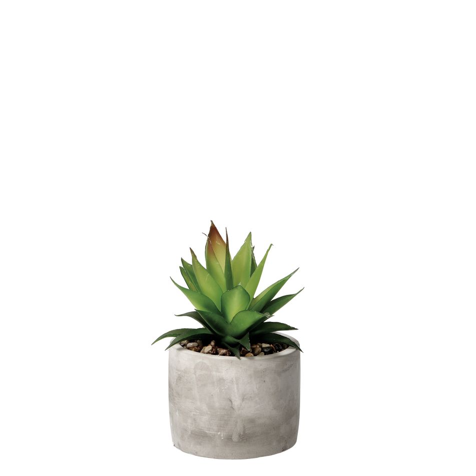 vaso-con-pianta-grassa-decorativa-d-dot-10xh18cm-in-2-7bcada