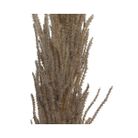 pampas-decorativa-marrone-h100cm
