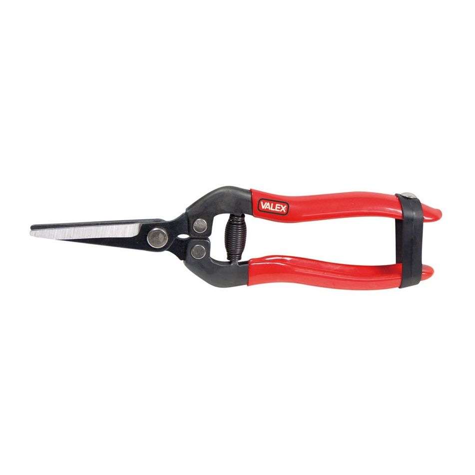 forbici-per-fiori-lame-dritte-190mm