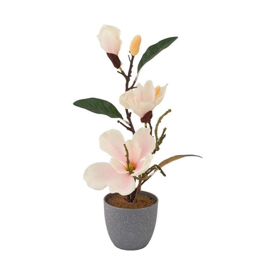 vaso-con-magnolia-3-fiori-e-2-boccioli-d-dot-10xh40cm