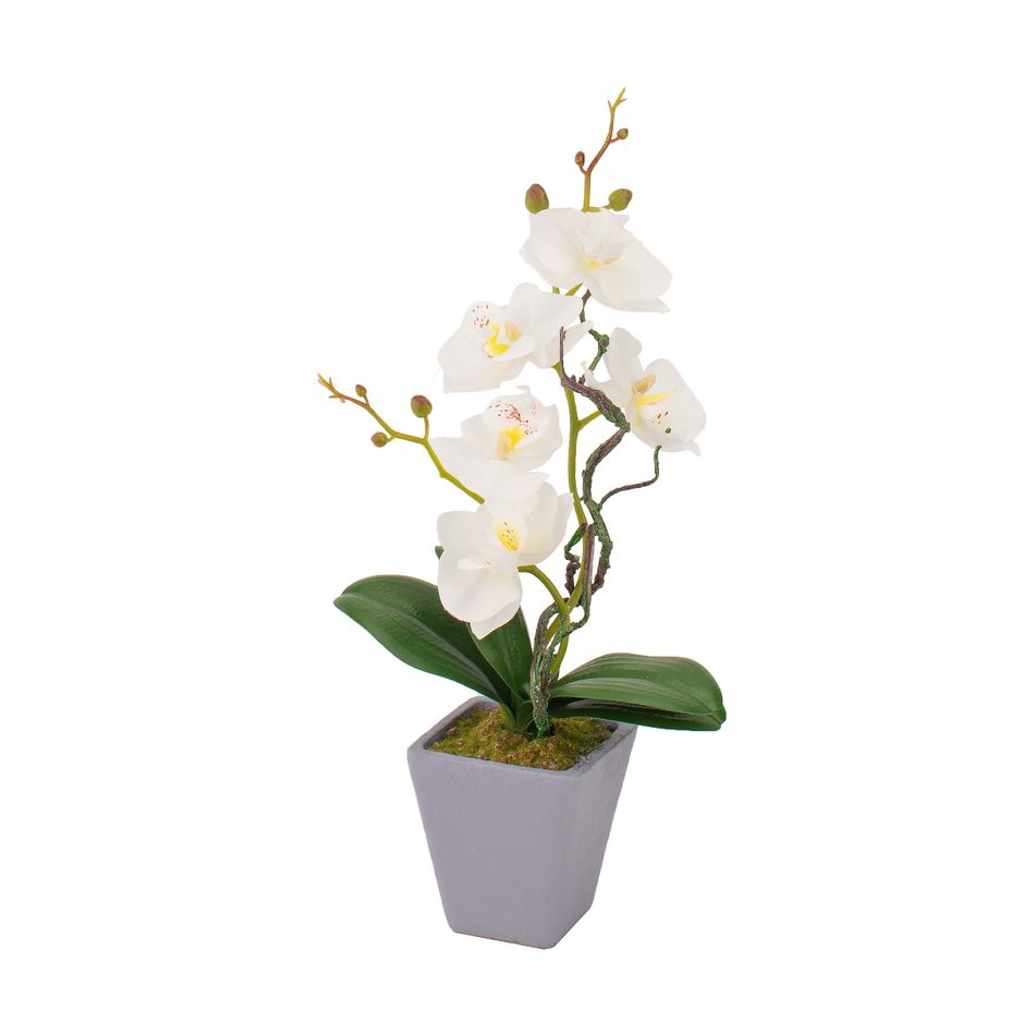 vaso-con-orchidea-d-dot-8xh34cm-in-4-colori-con-5-fior