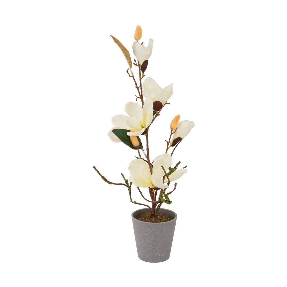 vaso-con-magnolia-5-fiori-e-3-boccioli-d-dot-11xh53cm