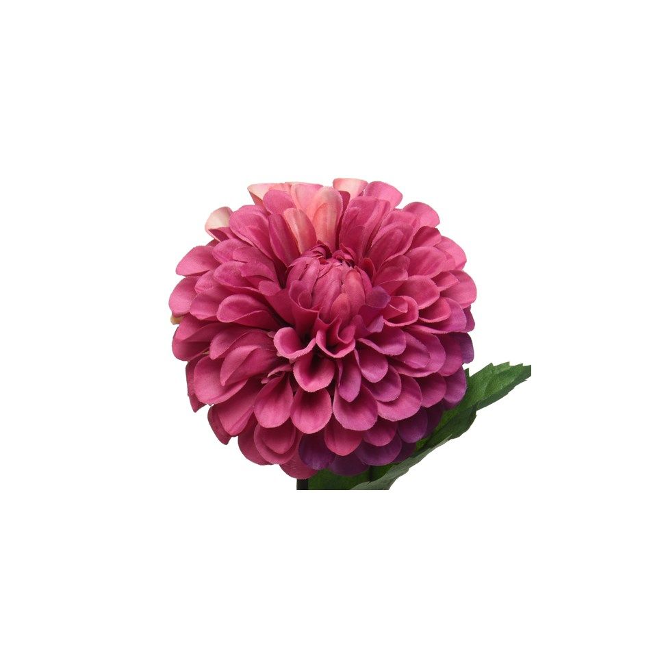 dalia-decorativa-fucsia-h75cm