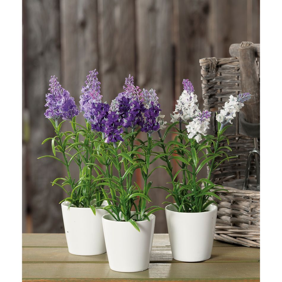 vaso-con-lavanda-d-dot-8xh26cm-in-3-colori