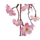 ghirlanda-di-fiori-di-pesco-rosa-tenue-15x185cm