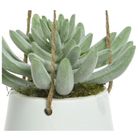 vaso-pensile-bianco-d-dot-20xh20cm-con-pianta
