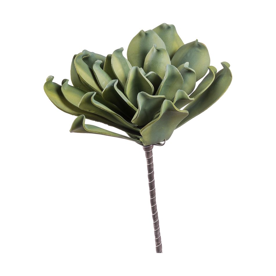 echeveria-decorativa-60cm