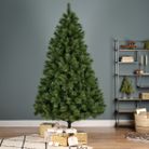 albero-ontario-h210cm-834-rami