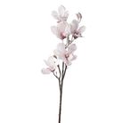 magnolia-innevata-cm92-rosa-slash-bianca