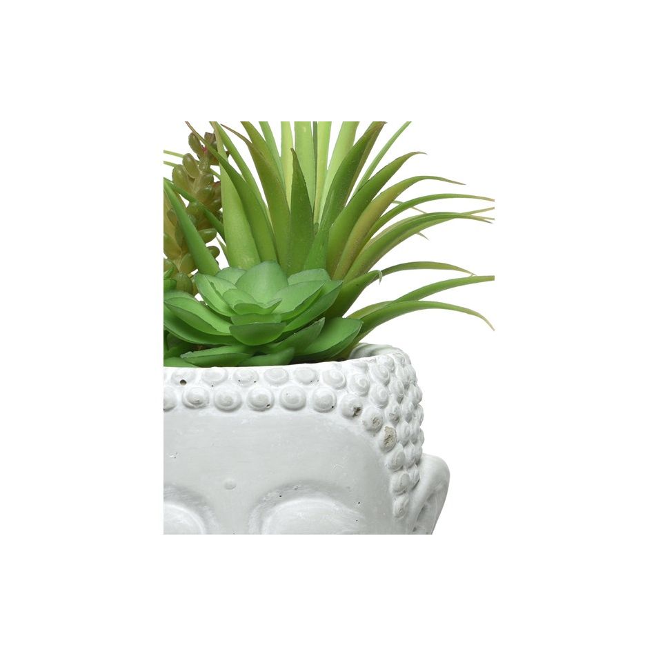 vaso-bhudda-grigio-con-pianta-grassa-d-dot-14xh23cm