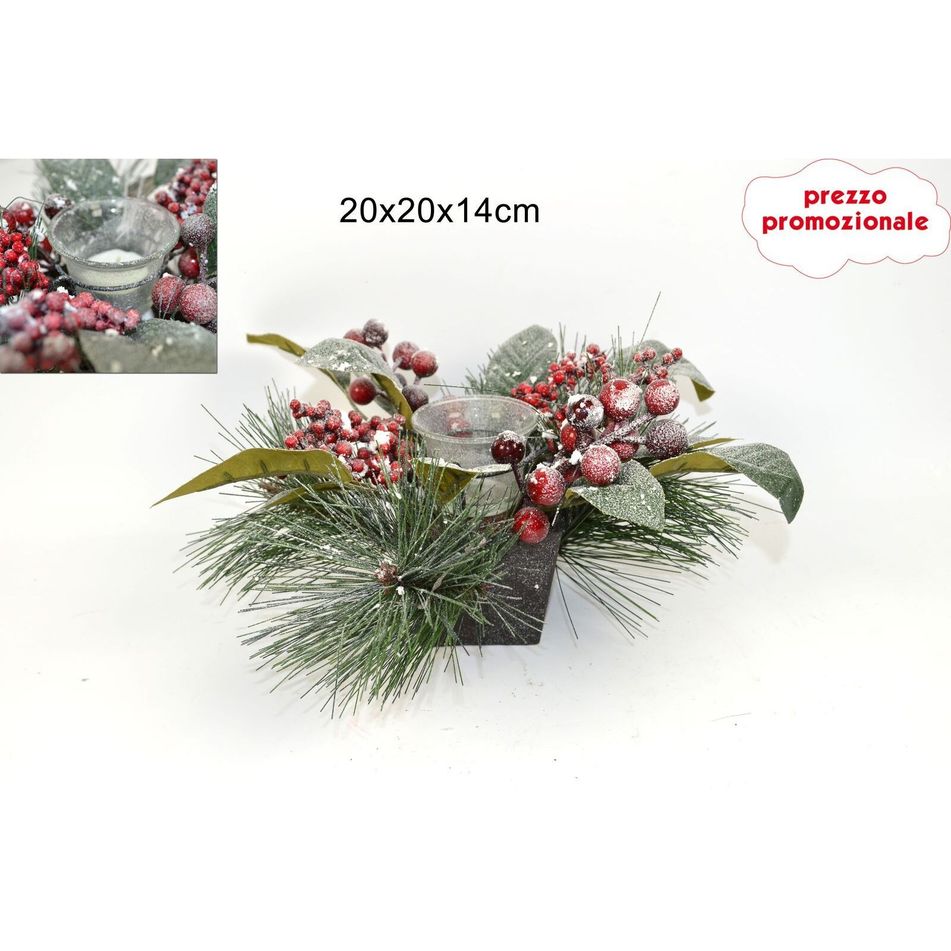 portatealight-innevato-c-slash-bacche