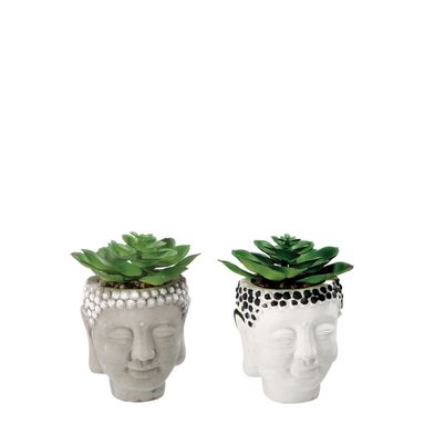 VASO CON PIANTA GRASSA DECORATIVA D.9XH13CM IN 2 C