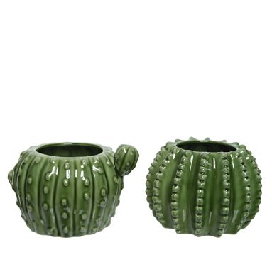VASO IN PORCELLANA D.16XH11CM EFFETTO CACTUS
