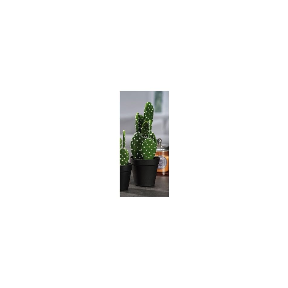 vaso-c-slash-cactus-x-decoraz-diam11xh29