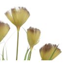 vaso-con-erba-e-fiori-d-dot-28xh90cm