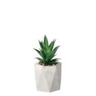 vaso-con-pianta-grassa-decorativa-d-dot-9xh19cm-in-2-c