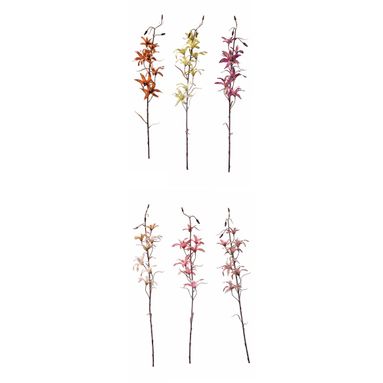 ORCHIDEA 83CM IN 6 COLORI
