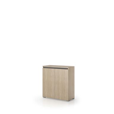 ELEMENTO BOX 80X37XH102CM 2 ANTE OLMO.