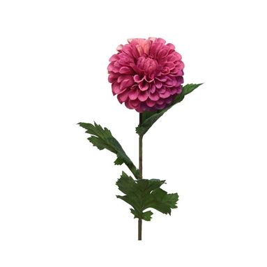 DALIA DECORATIVA FUCSIA H75CM
