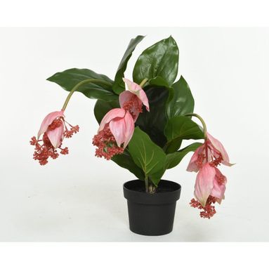 VASO CON MEDINILLA 50XH42CM