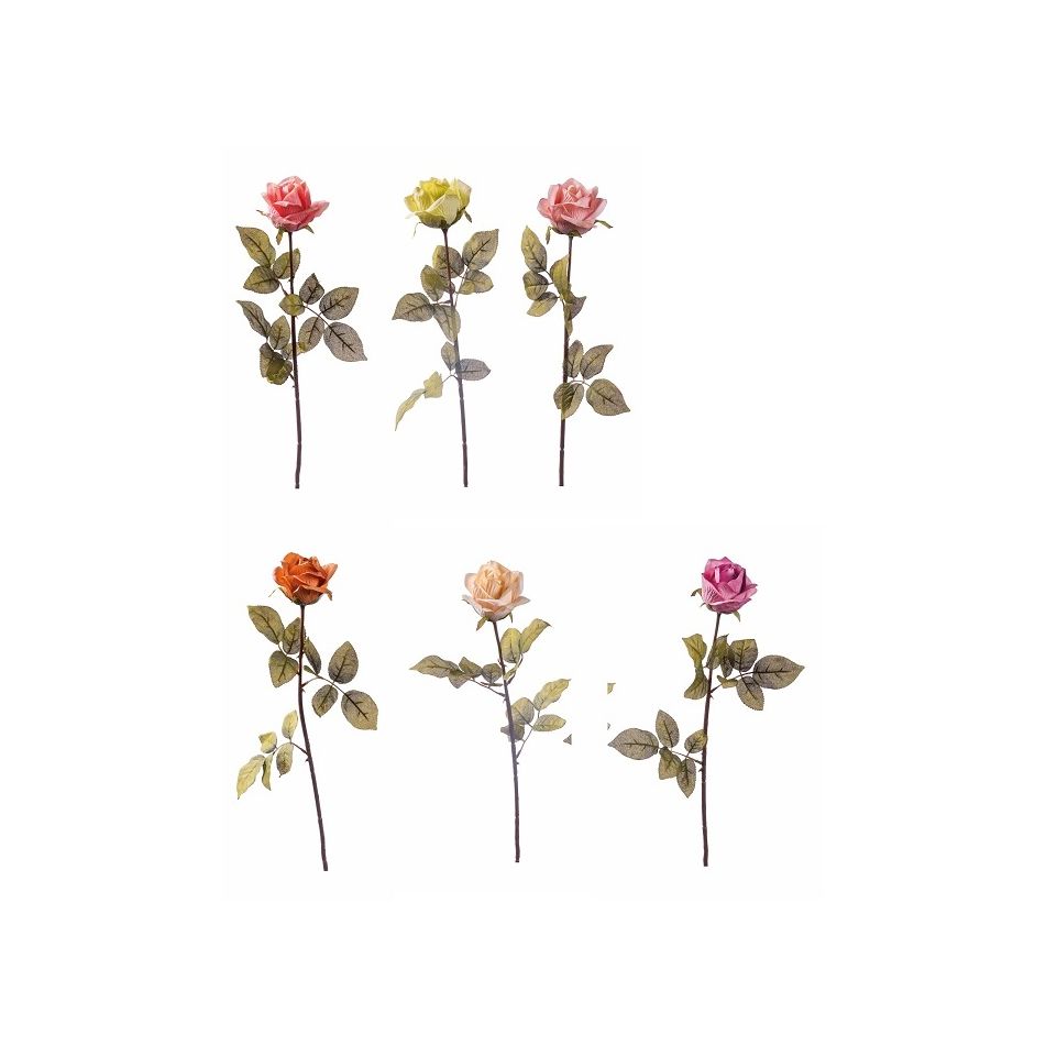 rosa-70cm-in-6-colori