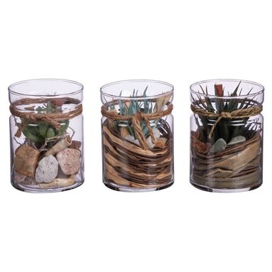 VASO CON PIANTE D.10XH13.5CM IN 3 MODELLI IN VETRO