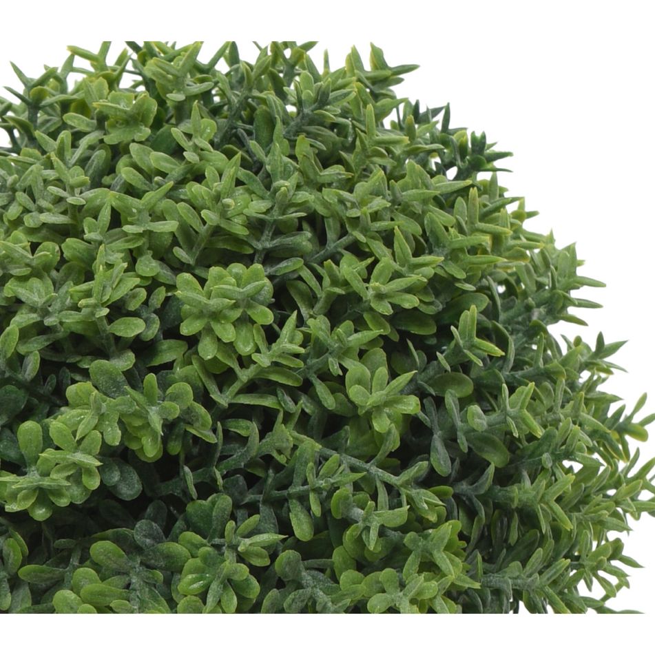 vaso-hedge-d-dot-12xh13cm-con-pianta
