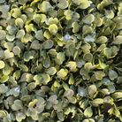 siepe-artificiale-boxwood-50x50cm-verde-fissa