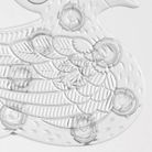 set-formine-antiscivolo-5-pz-bianco-duck