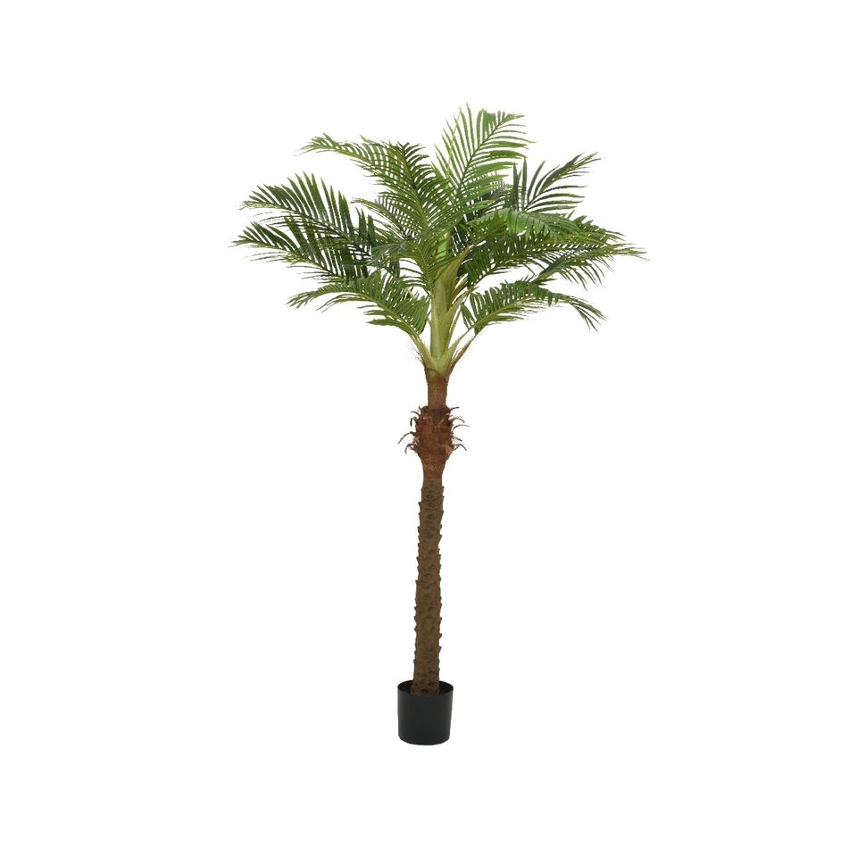 palma-in-vaso-110x90xh230cm-verde-in-poliestere