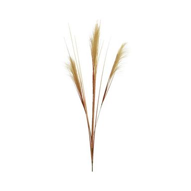 PENNACCHIO DECORATIVO 35XH115CM SABBIA