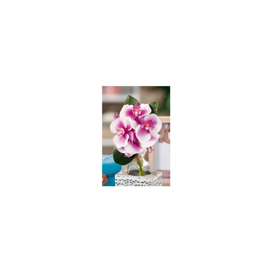 bouquet-orchidee-6fiori-a6col-cm22