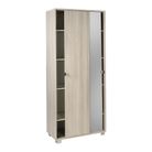 mobile-2-ante-scorrevoli-specchio-kit-82x41xh190cm-struttura-olmo-chiaro-frontale-specchio-naturale
