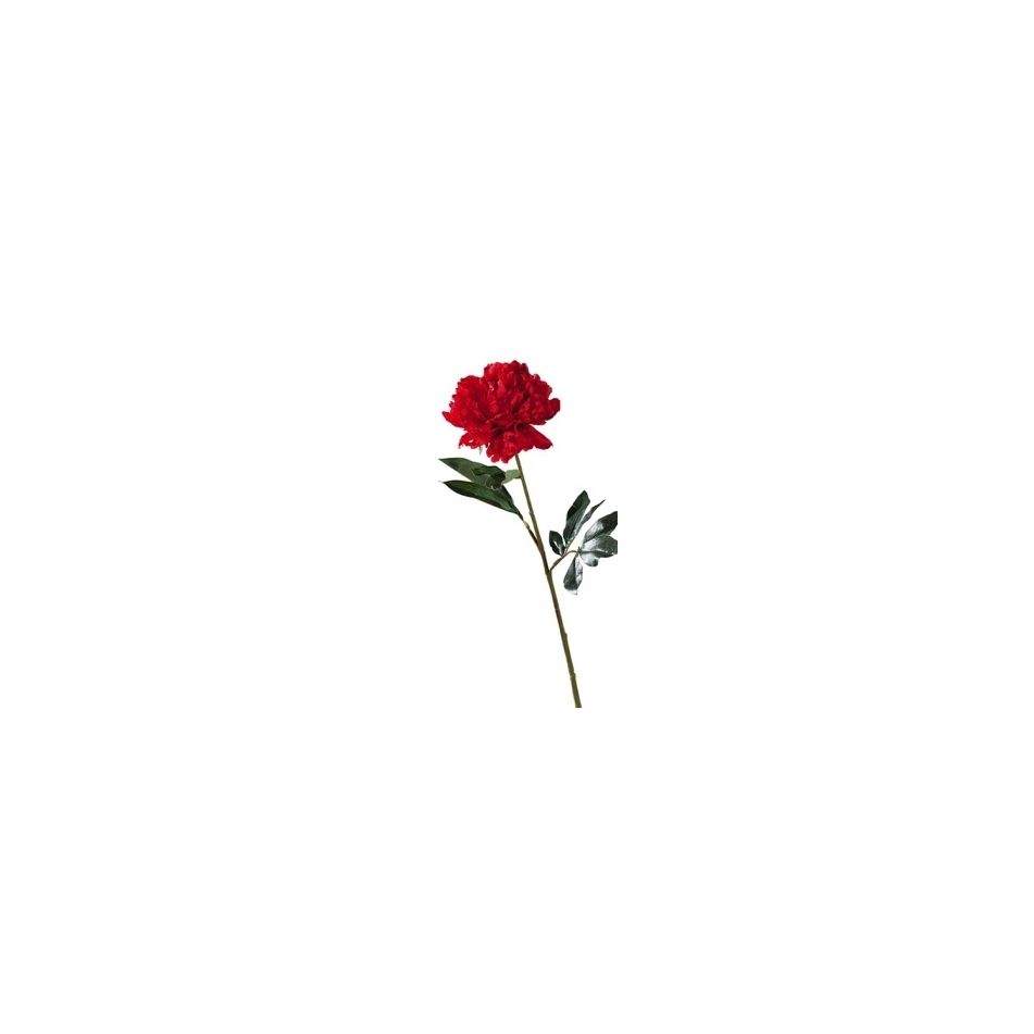 peonia-x-decorazione-ass6col-cm81