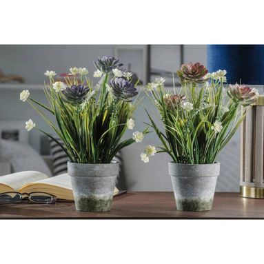 VASO CON PIANTINE D.10XH30CM IN 2 COLORI