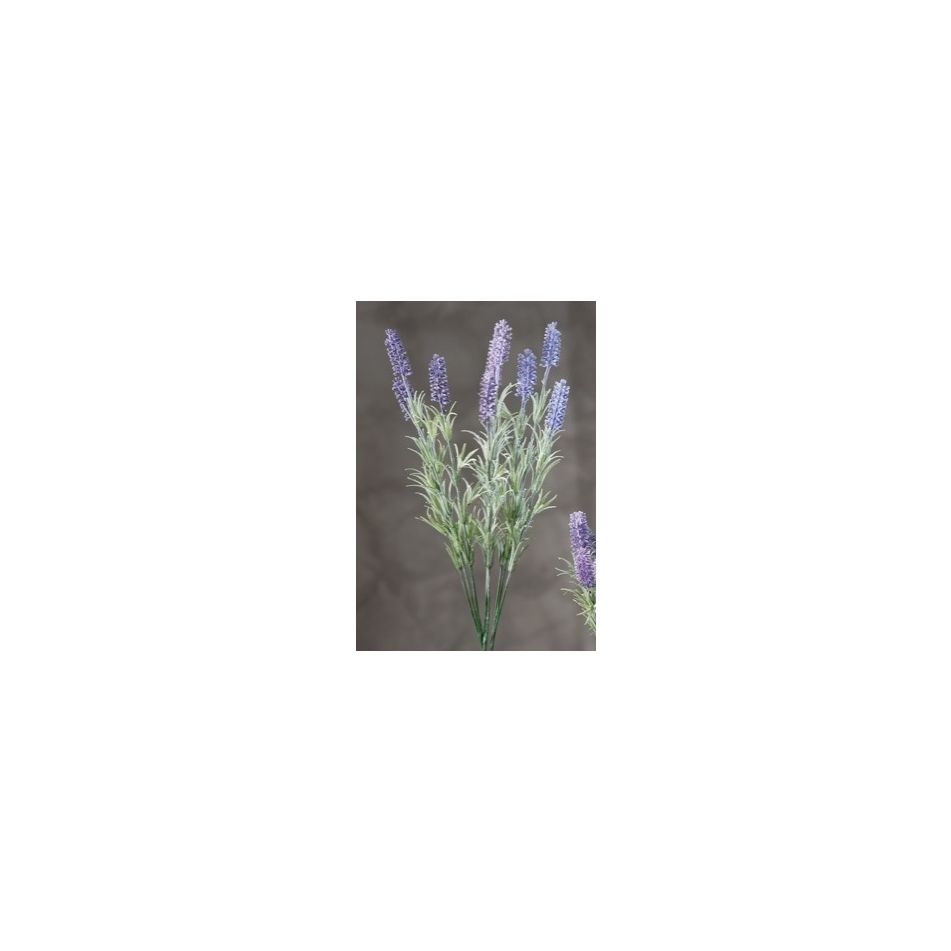 ramosc-lavanda-ass3col-cm52