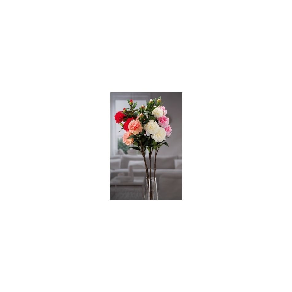 camelia-3fior-plus-2boc-x-dec-cm86