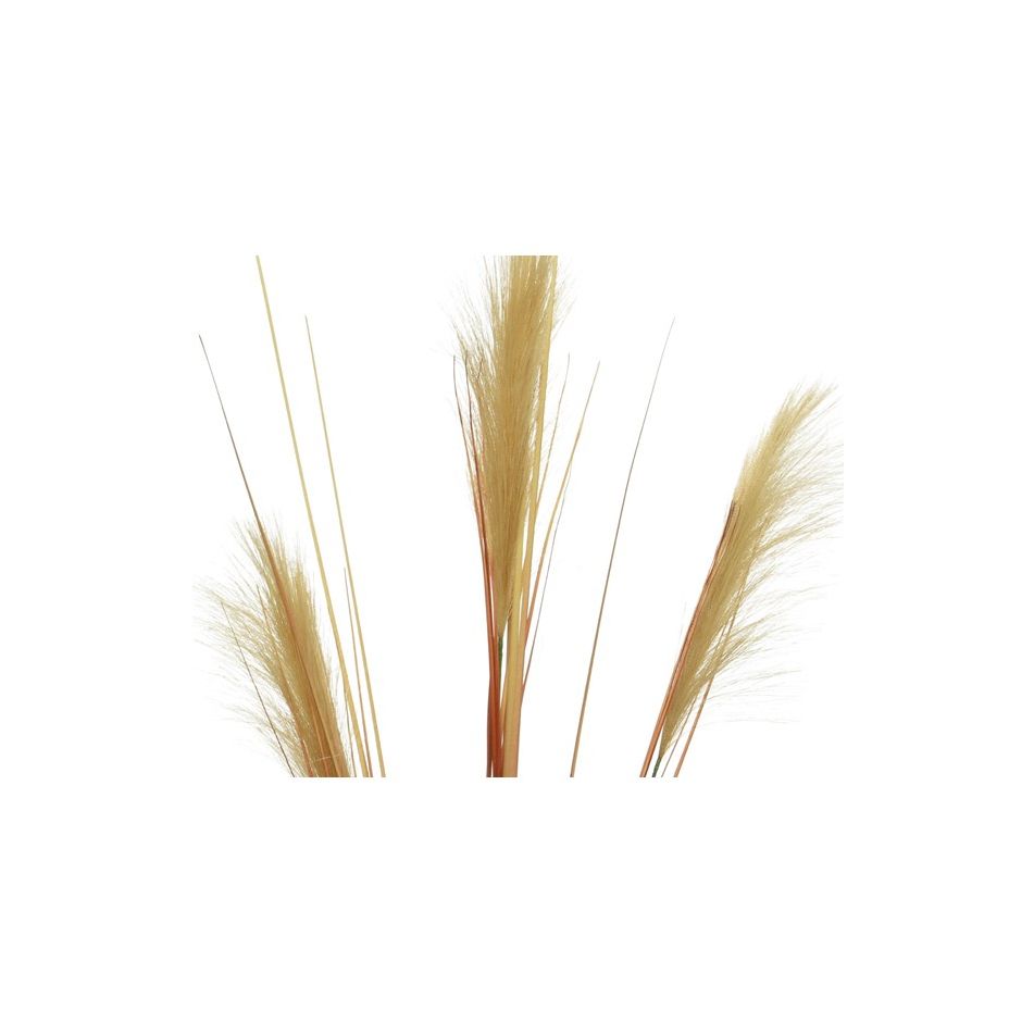 pennacchio-decorativo-35xh115cm-sabbia