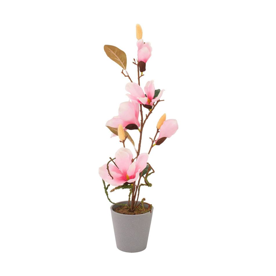 vaso-con-magnolia-5-fiori-e-3-boccioli-d-dot-11xh53cm
