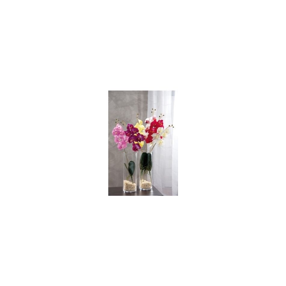 orchidea-6-fiori-ass-cm-57