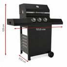 barbecue-a-gas-cazorla-85kw-1235x575xh123cm
