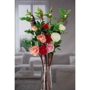 CAMELIA 4FIORI X DECOR ASS4COL CM75