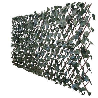 TRALICCIO ESTENSIBILE SIEPE IVY 100X200CM VERDE