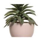 vaso-omino-con-pianta-7x9xh14cm-4colori-assortiti